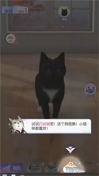 超喵星计划