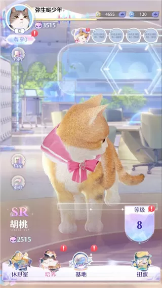 超喵星计划