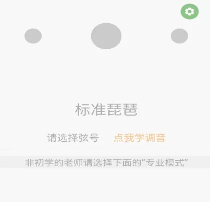 智能琵琶调音器
