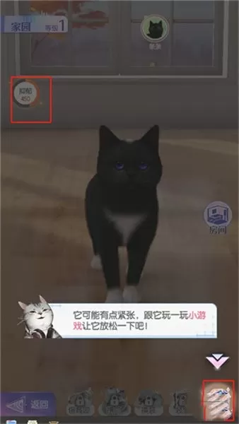 超喵星计划