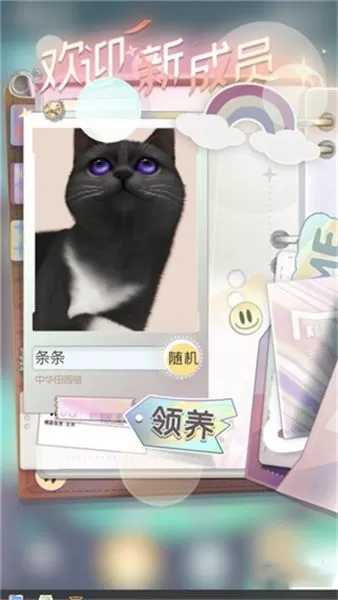 超喵星计划
