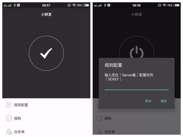 小转发