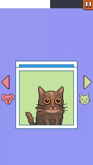 Grumpy Cat臭脸猫
