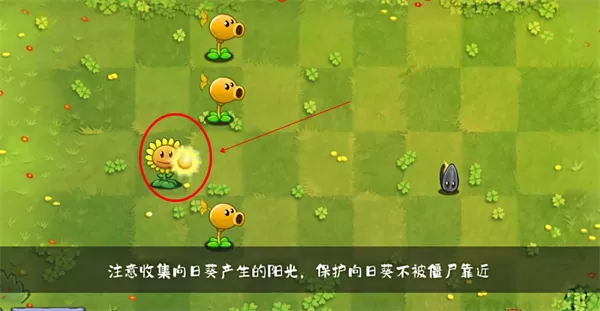 植物大战僵尸转基因版手机版