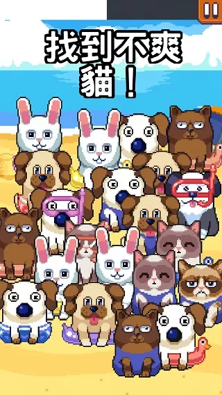 Grumpy Cat臭脸猫