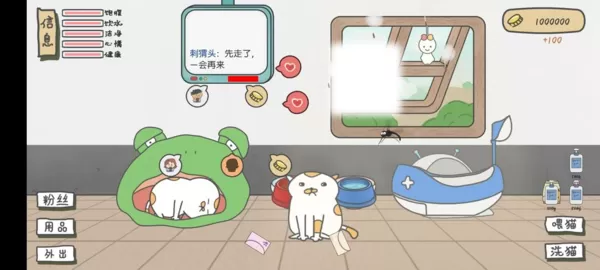 主播和猫的故事