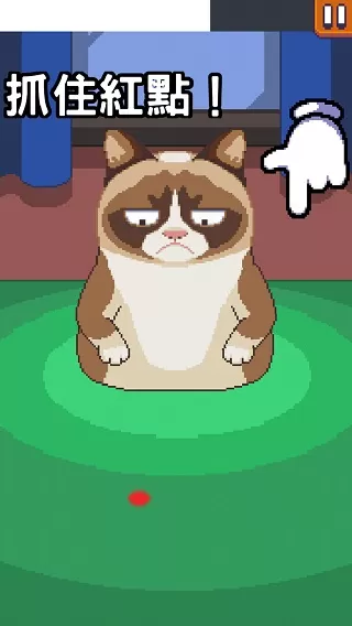 Grumpy Cat臭脸猫