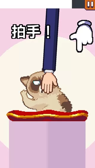Grumpy Cat臭脸猫