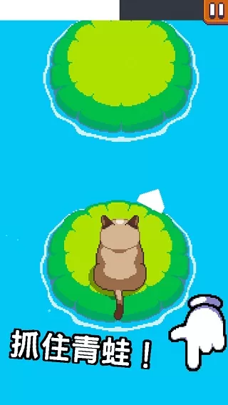 Grumpy Cat臭脸猫