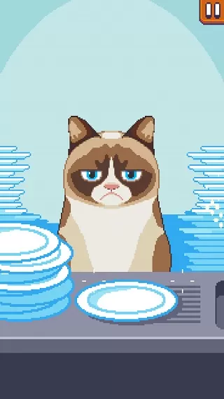 Grumpy Cat臭脸猫