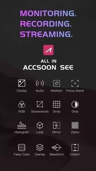 Accsoon SEE