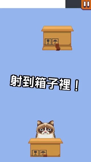 Grumpy Cat臭脸猫