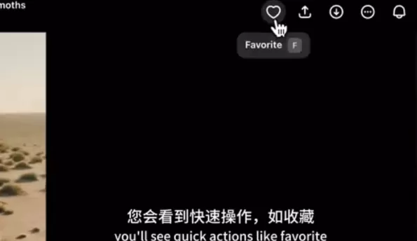 sora手机版