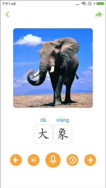 宝宝早教