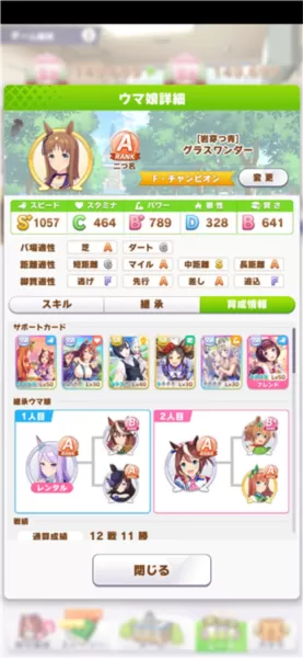 赛马娘韩服
