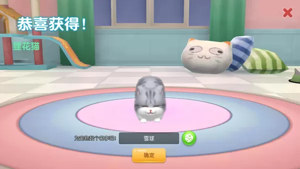 养了个猫最新版
