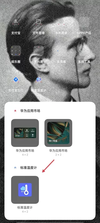 标准温度计