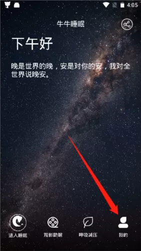 牛牛睡眠