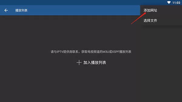 IPTV专业版app