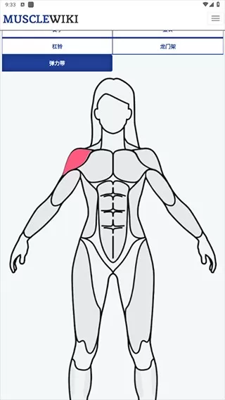 MuscleWiki