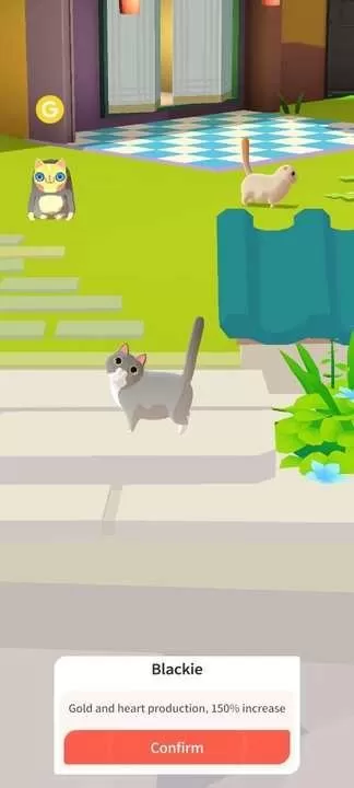 我需要猫咪