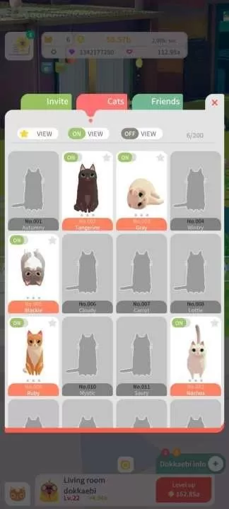 我需要猫咪