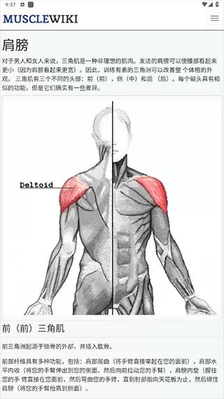 MuscleWiki