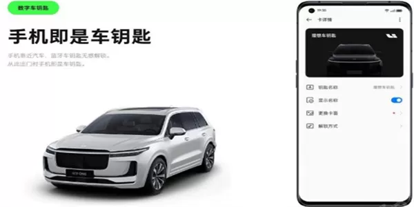 iccoacarlink华为版