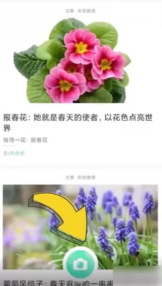 形色识花
