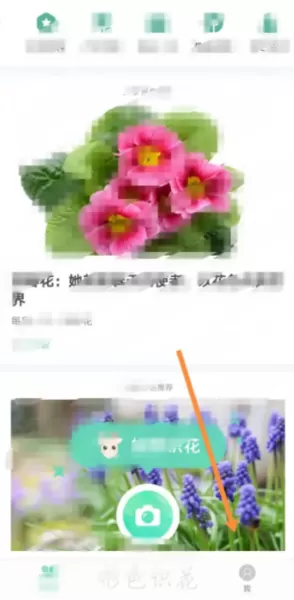 形色识花