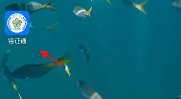锡证通