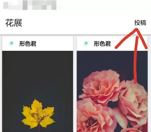 形色识花