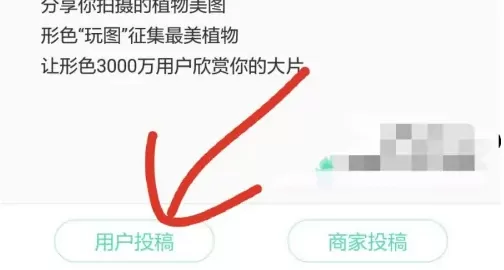 形色识花