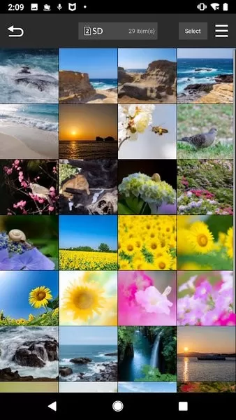 LUMIX Sync