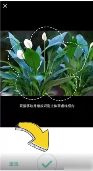 形色识花