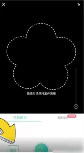 形色识花