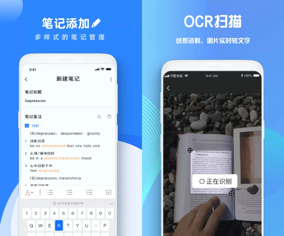 goodnotes pro