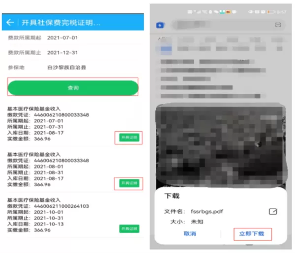 海南省电子税务局