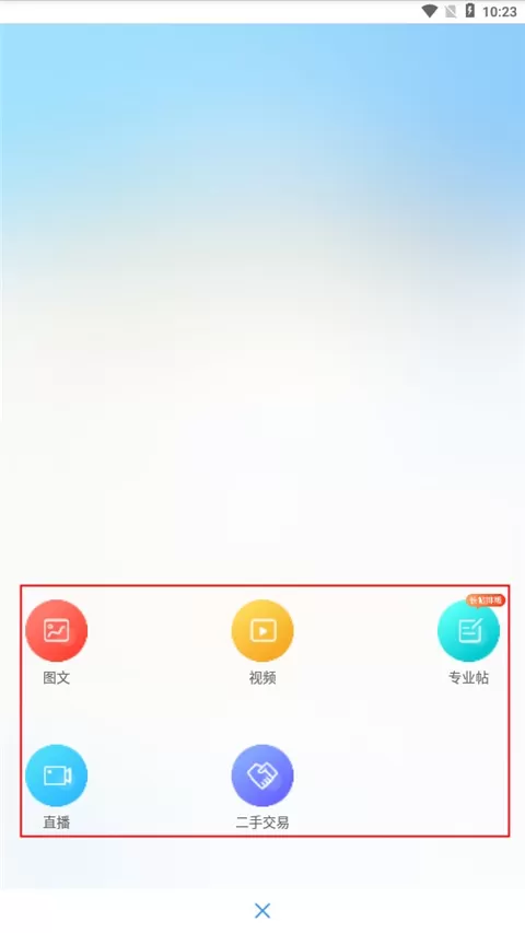 龙巅