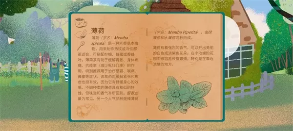茶杯物语