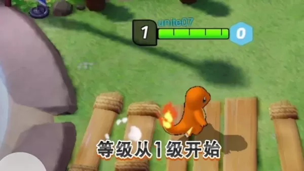宝可梦大集结国际版