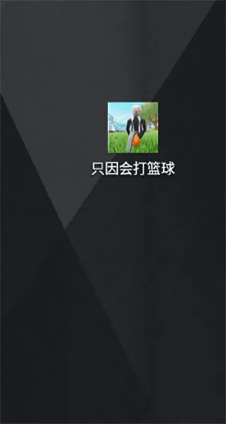只因会打篮球