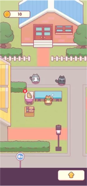 猫咪小吃店内置修改器
