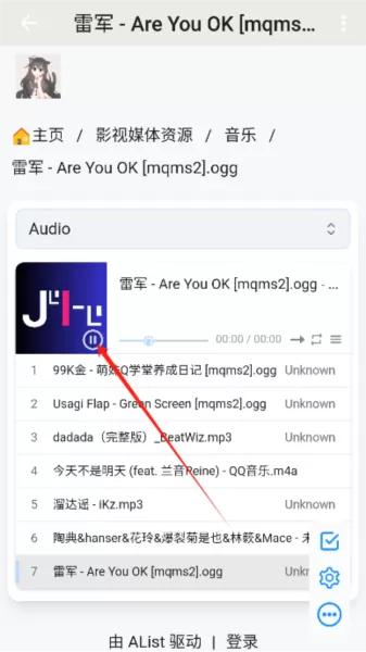 飓狐Alist