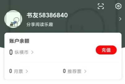 纵横小说