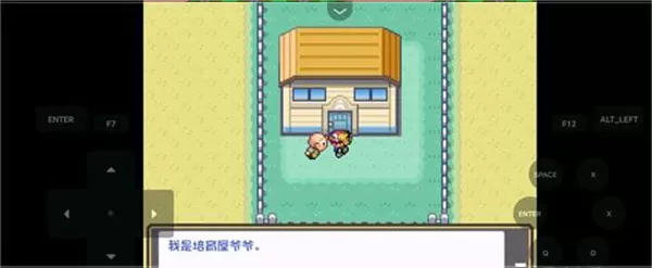 精灵宝可梦燃之智汉化版