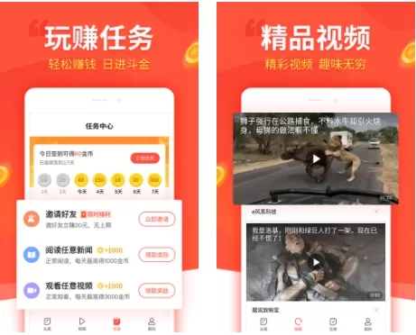 趣看看