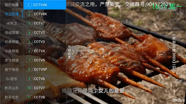念想电视TV版