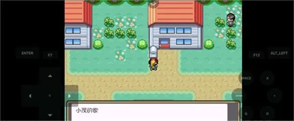 精灵宝可梦燃之智汉化版