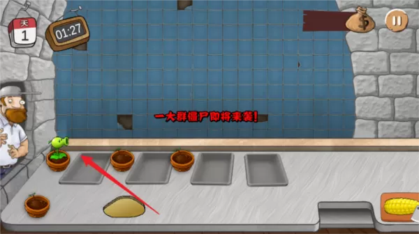 沙威玛植物大战僵尸无限金币版